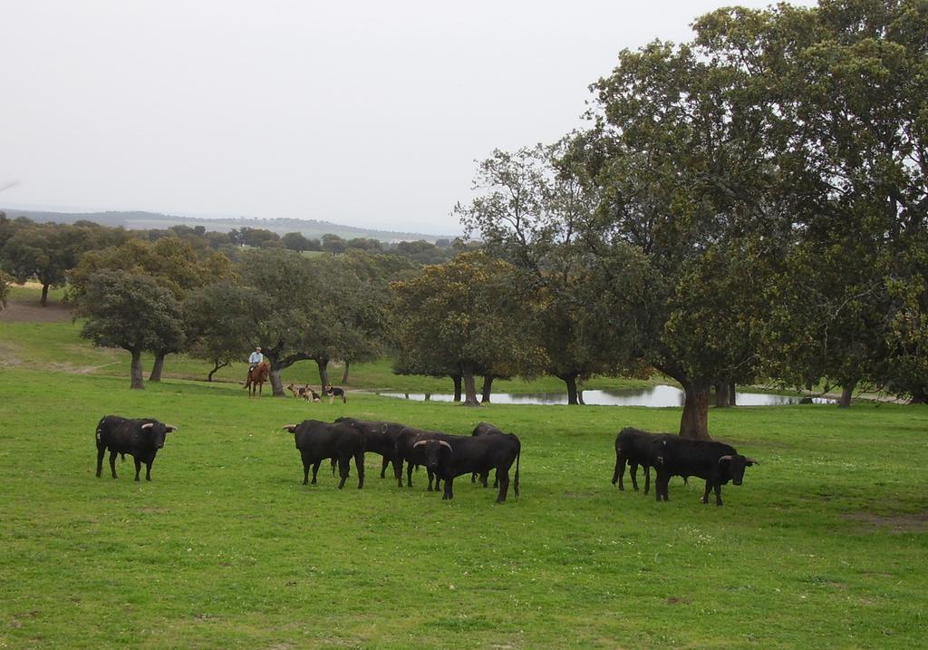 Casa Rural Antonio Vitigudino ภายนอก รูปภาพ